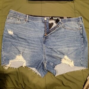 Torrid NWT | 3.5 Inch High-Rise Classic Denim Shorts | Size 24